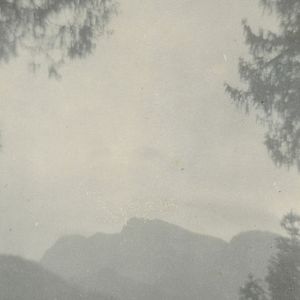 Bilder Breathless Animals