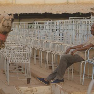 Bilder Talking About Trees