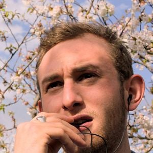 Bilder Farewell to the Night