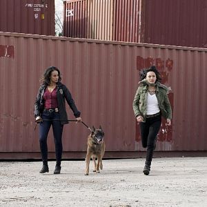 Bilder MacGyver (2016)