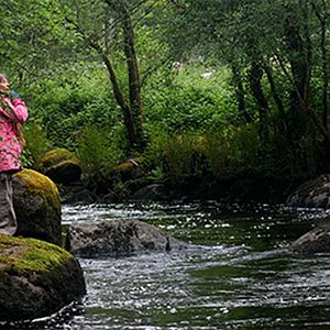 Bilder Le Jeûne, à la croisée des chemins