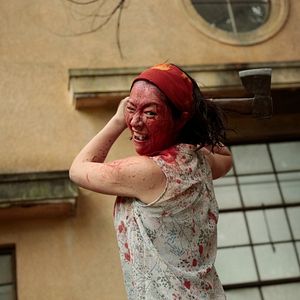 Bilder Harumi Shuhama