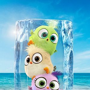 Bilder Angry Birds 2