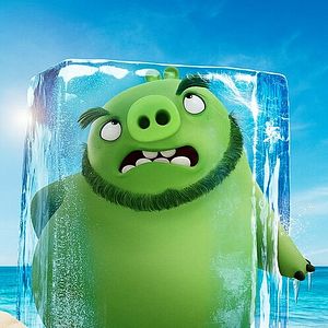 Bilder Angry Birds 2