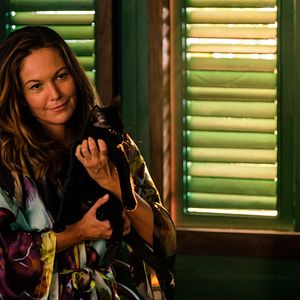 Bilder Im Netz der Versuchung