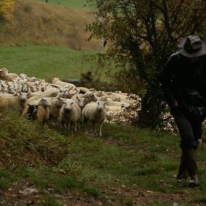 Bilder Souviens-toi de ton futur