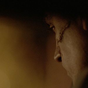 Bilder Jules Pelissier