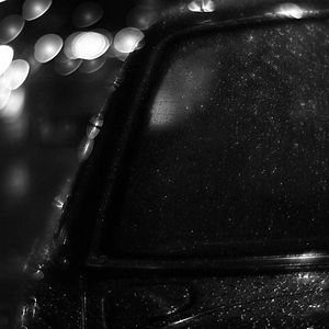 Bilder Mingus Erectus