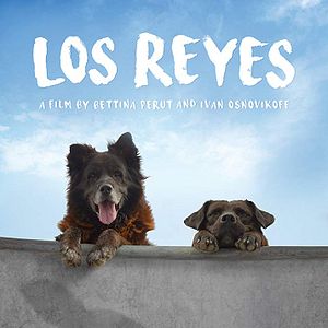 Bilder Los Reyes - Königliche Streuner