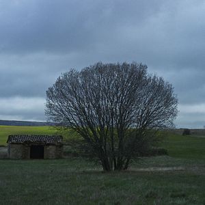 Bilder Con el viento