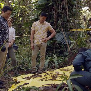 Bilder Jay Hernandez