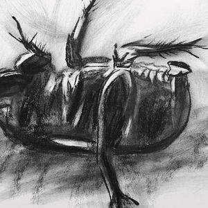 Bilder IV. Impermanencia