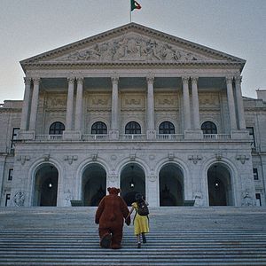 Bilder Tristeza E Alegria Na Vida Das Girafas