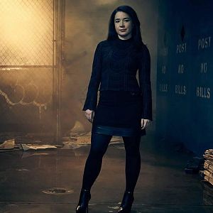 Bilder The Good Fight