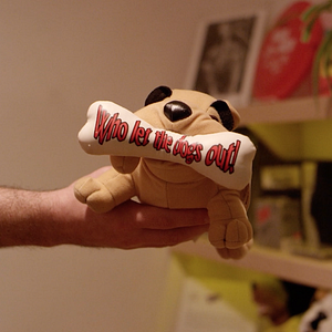 Bilder Who Let The Dogs Out