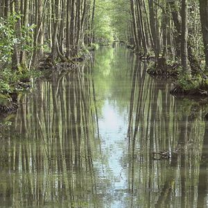Bilder Spreeland. Fontane
