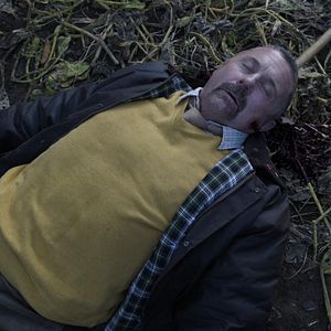 Bilder Shed of the Dead