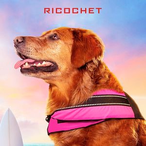 Bilder Superpower Dogs