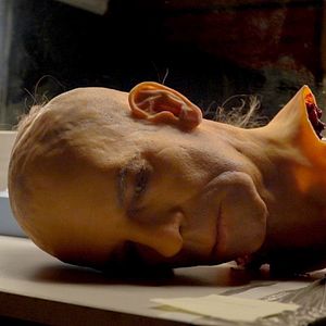 Bilder Macht das alles einen Sinn? - und wenn ja - Warum dauert es so lange?