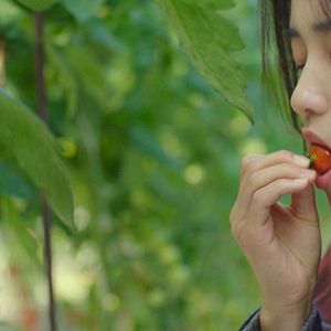 Bilder Little Forest