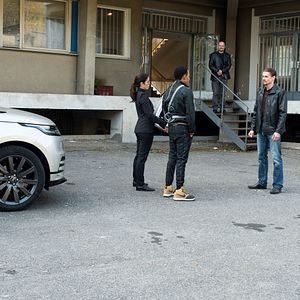 Bilder Whiskey Cavalier