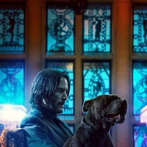 Bilder John Wick: Kapitel 3