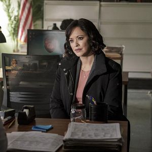 Bilder Marisa Ramirez