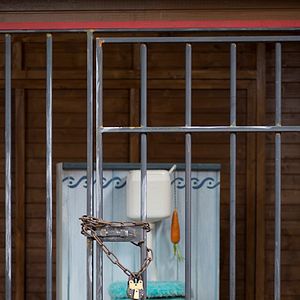 Bilder Sesamstraße präsentiert: Alarm im Zirkus