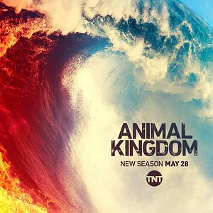 Bilder Animal Kingdom