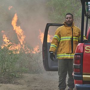 Bilder Michael Xavier