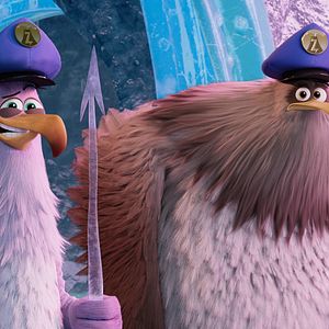 Bilder Angry Birds 2