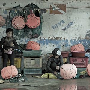 Bilder Haenyeo - A Força do Mar