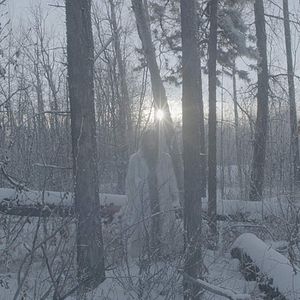 Bilder Once There Was A Winter