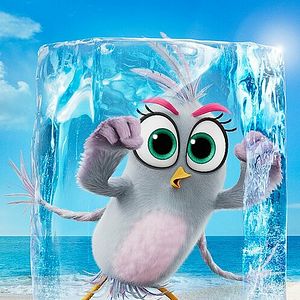 Bilder Angry Birds 2