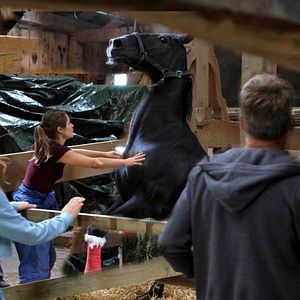 Bilder Cristina do Rego