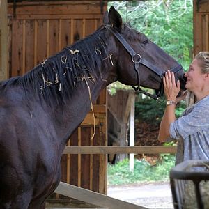 Bilder Frühling - Sand unter den Füßen