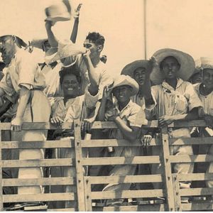 Bilder Soldados da Borracha