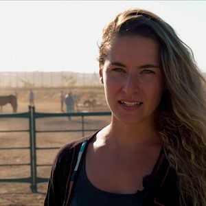 Bilder Magie der Wildpferde