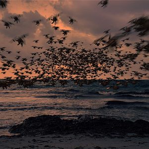 Bilder Auf ewig Jessica