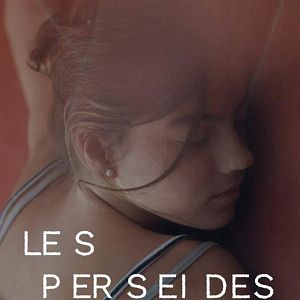 Bilder Les Perseides