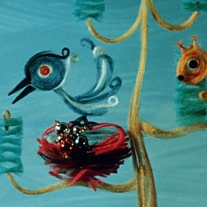 Bilder Drôles de cigognes !