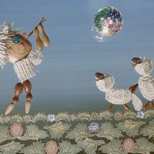 Bilder Drôles de cigognes !