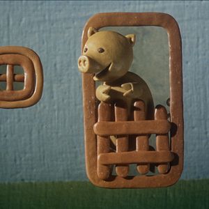 Bilder Drôles de cigognes !