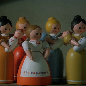 Bilder Drôles de cigognes !