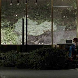 Bilder Problemski Hotel