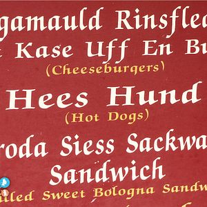 Bilder Hiwwe wie Driwwe - Pfälzisch in Amerika