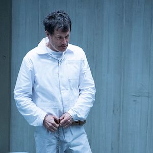 Bilder Whiskey Cavalier