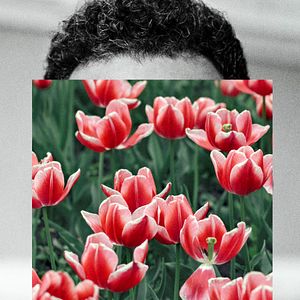 Bilder Amar é Para os Fortes