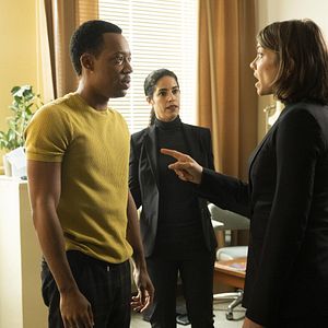 Bilder Whiskey Cavalier