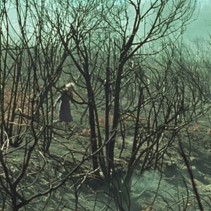 Bilder Fire Will Come